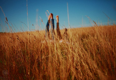 Мы вернулись