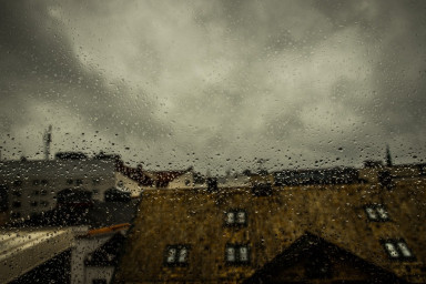 Смысл жизни на время сезона дождей