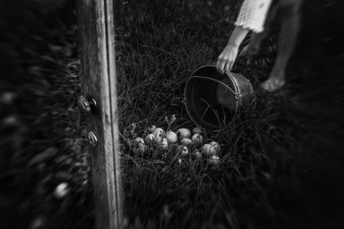 Жару сегодня слышно