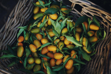 Остановить лето