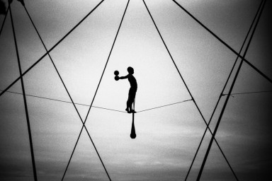 Мальчик, котик и сострадание