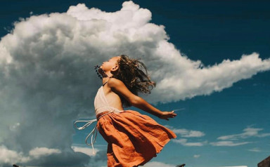 Сначала - лошадь, потом - телега