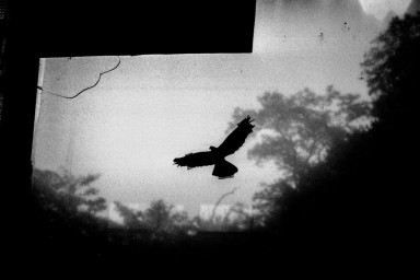 Письмо злому Деду Морозу