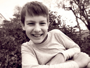 ​Тараканы играют в мяч, улитка ест диван, а зебра приносит палочку