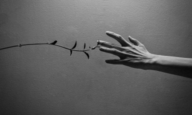 Развод, ребенок и новые отношения: этическая сторона вопроса