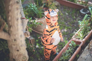 Баллада о пузе