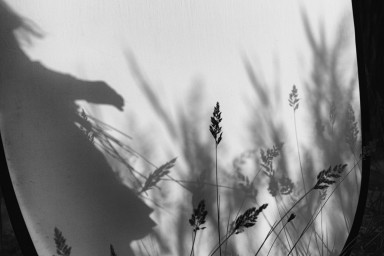 5 правил сексуальной безопасности, которые должен знать каждый ребенок