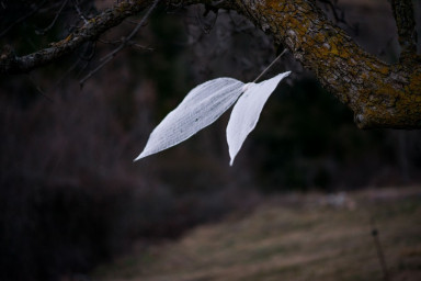 9 советов маме, которая только что узнала, что ее ребенок неизлечимо болен