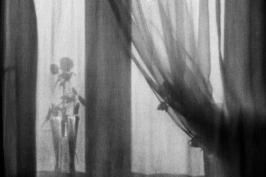 На короткой ноге с прекрасным