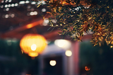 Оливковые люди