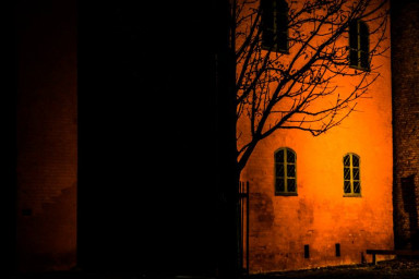 Корь возвращается: более 140 тысяч умерших от болезни в 2018 году