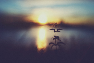 Богу – золото, смирна и ладан, а человеку – любовь