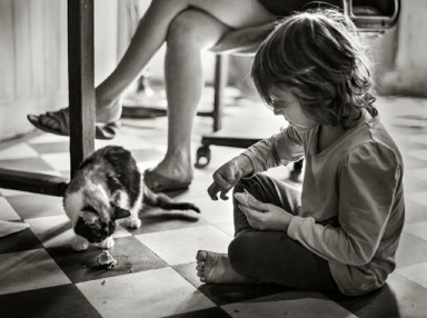 Пятнадцать суток