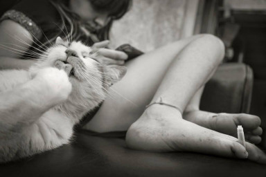 Мир сошел с ума так быстро