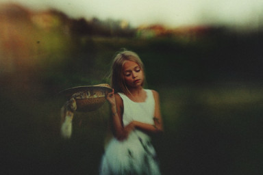 Самоизоляция: записки из США