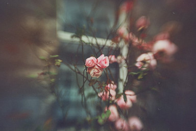 Музыка майского утра