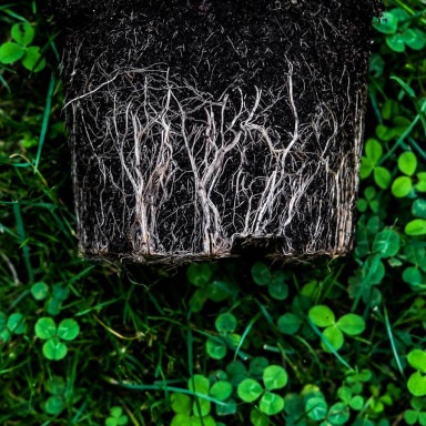 Возвращение к нормальной жизни: новая реальность в школах Китая