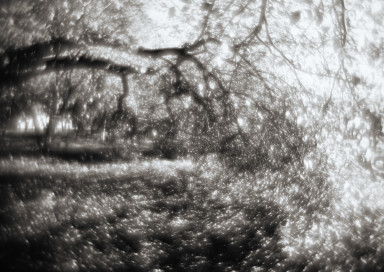 Засыпать на даче