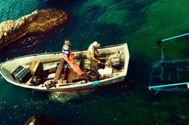 Бессмертие