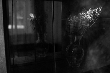 Такими вещами на Парнасе не шутят