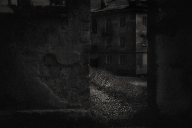 Всегда на стороне человека