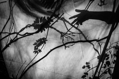 Все они уроды, или Как рождается ксенофобия