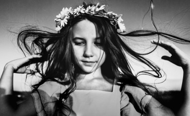 Мечта Стрекозы, или Продолжение одной старой басни