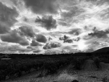 Психологическое истощение