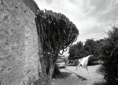 Рай для богов