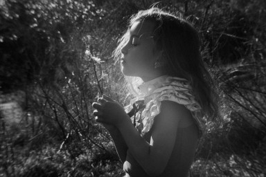 100 лет Рэю Брэдбери: 