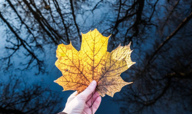 Оставаться живыми