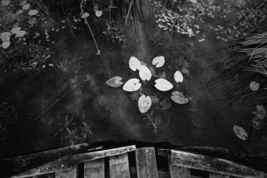 Об эстетике