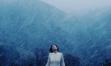 Эмоциональное насилие в сети 