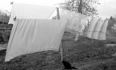 Любимые наши бабушки.