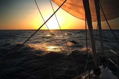 Самые увлекательные и красивые книги про приключения