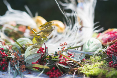 Дорога к общему