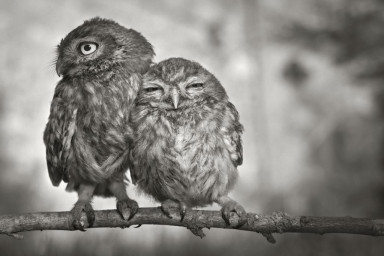 Бодипозитив (отрывок из книги 