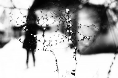 Взрослые тоже люди и могут уставать