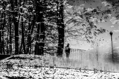 Тоскливая нежность