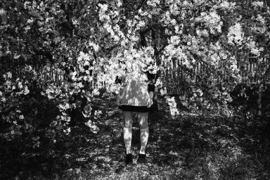 Три этапа отношений