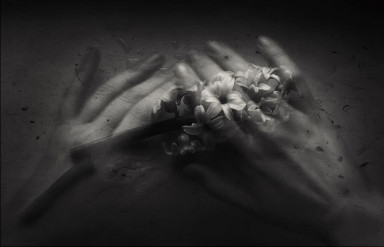 Все же сразу было понятно