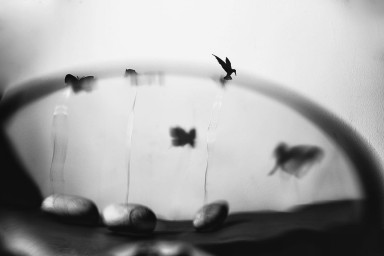 Мир рождается каждый день