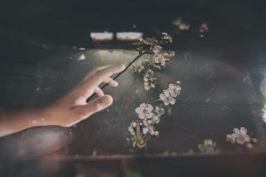 Как извиняться перед детьми