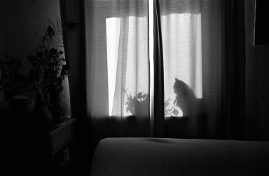 Встреча (отрывок из книги 