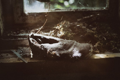 Шмелиный мед