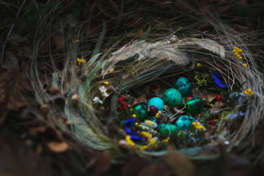 Чудеса на земле