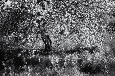 Резюме недели: о человечности, о помощи, о маминых слезах