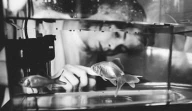 Написать миф