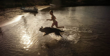 Красноперки