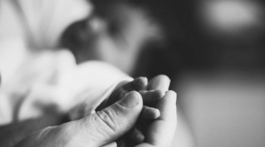 Не кормите зебру